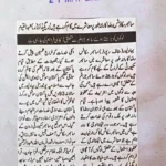 Cyber Scouts Medal Awards for Voluntary Service by asad ul rehman