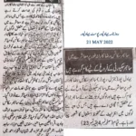 Cyber Scouts Medal Awards for Voluntary Service by asad ul rehman